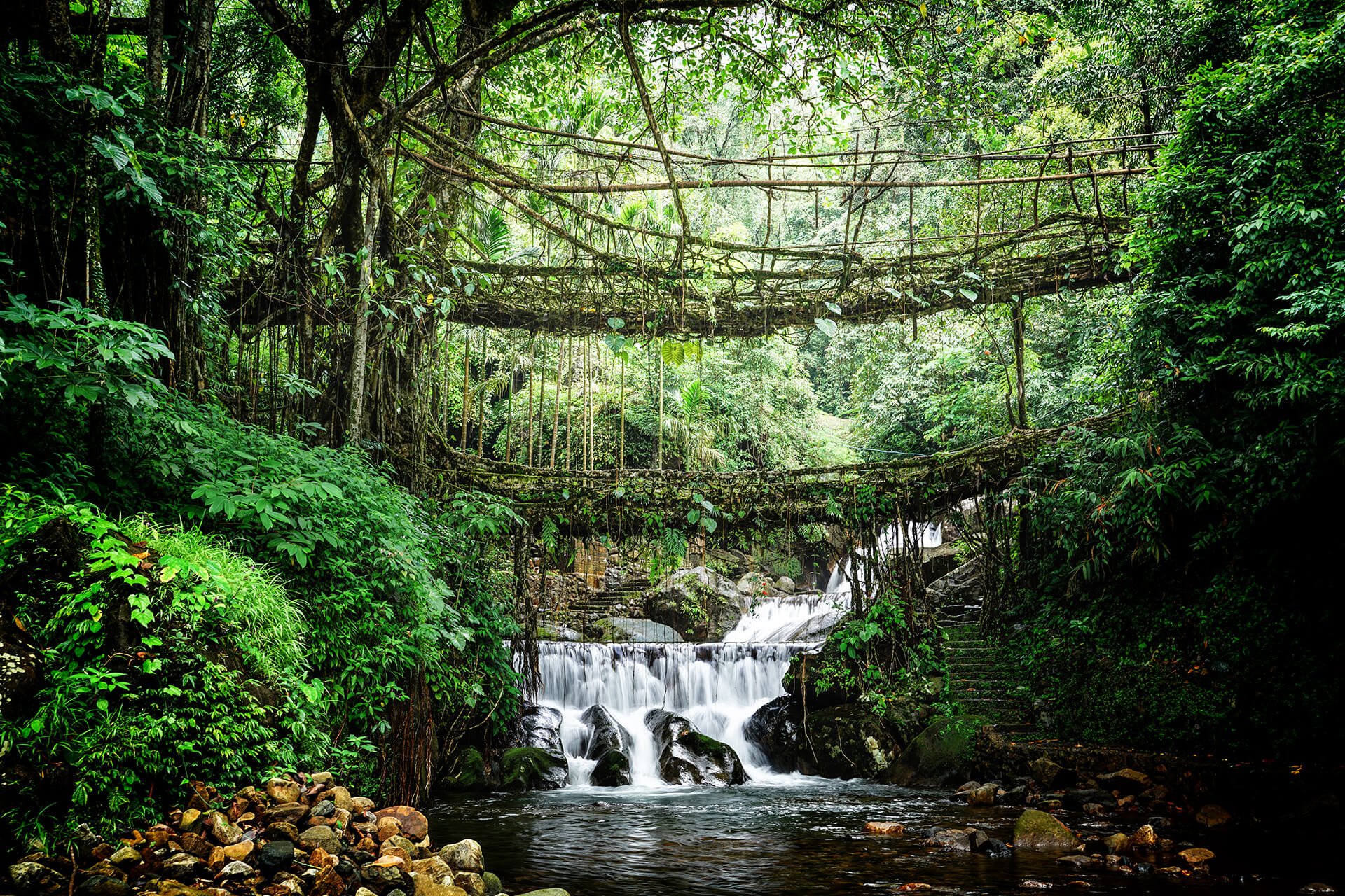Package Image for Living Root Bridges Trek